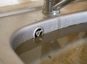 Protecting Environment: Importance Addressing Environmental Impact Blocked Drains