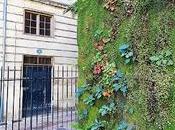 Hanging Gardens All: Introducing Green Walls Bordeaux