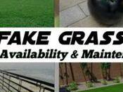 Fake Grass Price, Availability Maintenance 2023