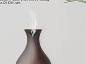 Choose Perfect Electric Aroma Diffuser Your Space