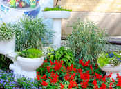 Sustainable Plumbing: Green Solutions Environmentally-Friendly Home