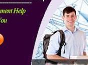 Assignment Experts Help with Your Engineering Assignments Provide Online Writing Services.