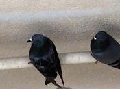 What Life Aout Expectations Expectancy