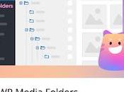 CatFolders Review 2023: Best Folde...