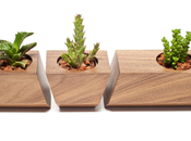 Boxcar Succulent Planters