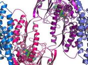 Priority Areas Biomedical Genomics India