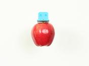 Bring Apple Picking Experience Indoors