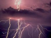 How’s Alexa Treating You? Foods Keep Warm