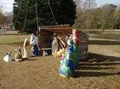 Maybe Someone Explain Inconsistency Display Force