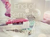 Blogger Motivation: Semester Project