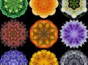 2014 Mandala Meditations Calendar Year Flowers