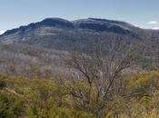 Viking, Alpine National Park, Victoria. November 2013.