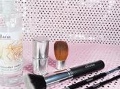 Spot Clean Makeup Brushes with Ellana Brush Cleaner