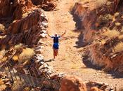 Namib Desert Challenge 2014