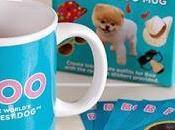 Secret Santa Safari: Guide Getting Perfect Gift Animal Lovers.