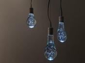 Day: Water Balloon Light Bulbs