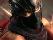 Ninja Gaiden Sequel Works Team