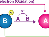 Redox Reactions Electrochemical Cells Level Chemistry