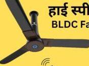 These High Speed BLDC Ceiling Fan, Will Years Warranty