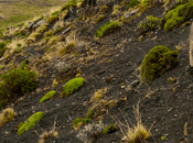 Nature Documentaries Coming Netflix 2023 Beyond