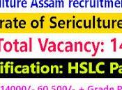 Sericulture Assam Recruitment 2023, Apply Vacancy