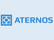 Aternos Website Working