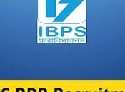 IBPS Recruitment 2023 8594 Officer Office Assistant Posts