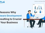 Software Development Consulting Crucial Your Business