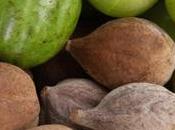 Revitalize Your Body Reduce Belly Fat: Ayurvedic Remedies Today