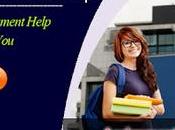 Emerge Your Studies With Assignment Help Melbourne