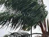 Minor Storm Kalutara