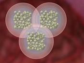 Forecasting Growth Trajectory Microspheres Market: Opportunities Challenges