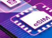 Competitive Landscape eSim Market: Strategies Market Share Analysis