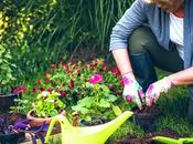 Gardening Beginners 2023: Comprehensive Guide