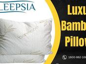 Ultimate Comfort: Luxury Bamboo Pillows