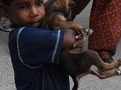 Compassion உயிர்களிடத்தில் அன்பு வேணும்