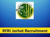 RFRI Jorhat Recruitment 2023 Technical Assistant Vacancy