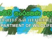 Wildlife Dept. Halts Export Monkeys China