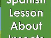 Spanish Lesson About Insects