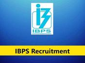 IBPS Clerk Recruitment 2023 Apply Online XIII