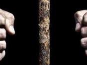 Robbery Judges Mother’s House: Domestic Arrested