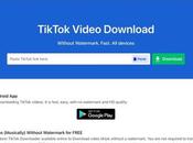 SnapTik Free Download TikTok Videos High Quality Watermark
