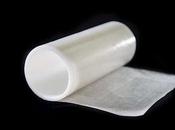 Unlocking Potential Exchange Membrane Market: Player Sustainable Technologies