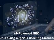 Maximizing Organic Rankings with
