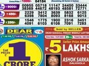 Nagaland State Lottery Sambad: 15.07.2023 Check Today’s Result Here