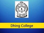 Dhing College Recruitment 2023 Assistant Professor Posts