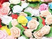 மலர்களே, மலர்களே Beautiful Roses