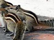 Amigos People Looking Alike