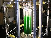 Cultivating Innovation: Deep Dive into Small Scale Bioreactors Market