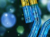 Charting Horizons: Look Peptide Therapeutics Market